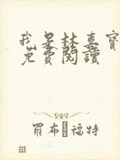 我是林喜宝小说免费阅读