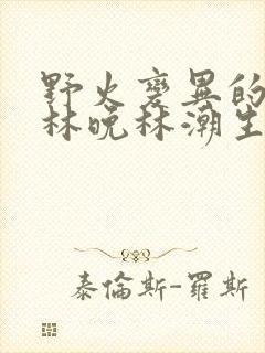 野火变异的父爱林晚林潮生