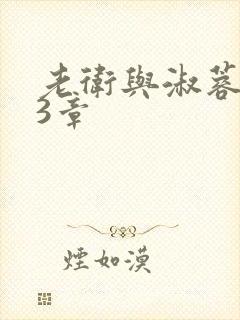 老卫与淑蓉第13章