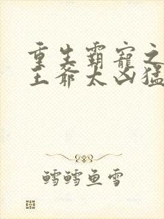 重生霸宠之摄政王爷太凶猛