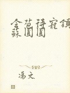 含苞待宠镇国公苏圆圆