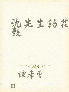 沈先生的花式调教