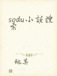 sodu小说搜索