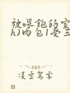 被喂饱的室友(h)肉包1受三攻