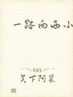 一路向西小说