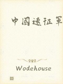 中国远征军小说