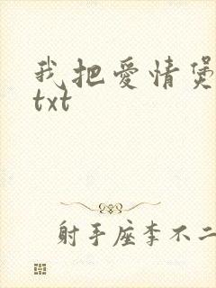我把爱情煲成汤txt