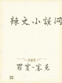 辣文小说网