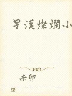 星汉灿烂小说