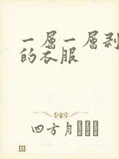 一层一层剥掉你的衣服
