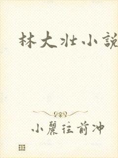 林大壮小说阅读