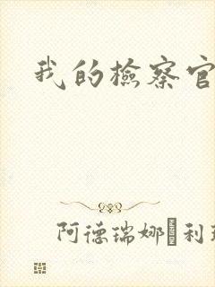 我的检察官先生