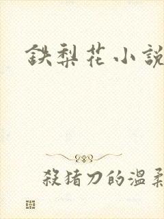 铁梨花小说