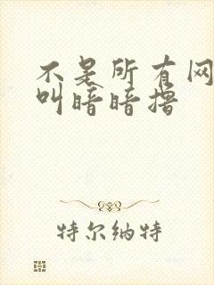 不是所有网站都叫暗暗撸