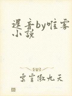 迟音by唯雾的小说