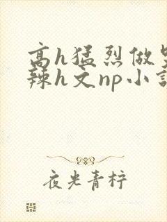 高h猛烈做哭高辣h文np小说