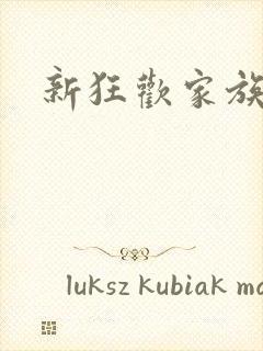 新狂欢家族小说