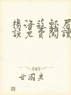 杨洛苏轻眉笔小说免费阅读