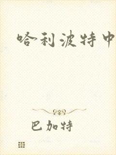 哈利波特中文版