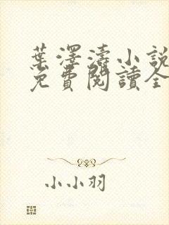 叶泽涛小说全文免费阅读全文