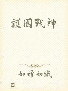 护国战神