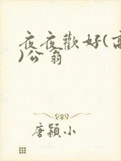 夜夜欢好(高h)公翁