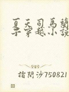 夏天司马兰九皇子穿越小说笔趣阁