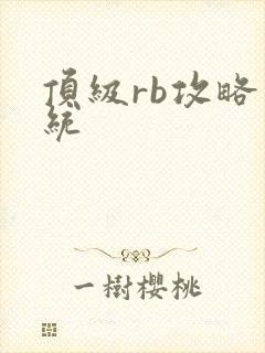 顶级rb攻略系统