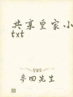 共享皇家小公主txt