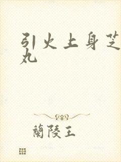 引火上身芝麻糖丸