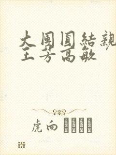 大团圆结亲情会王芳高敏