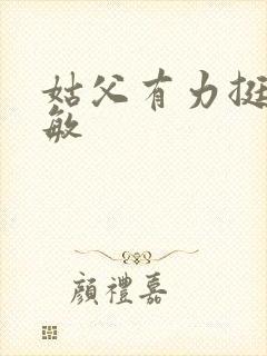 姑父有力挺送赵敏