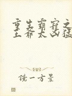 重生霸宠之摄政王爷太凶猛