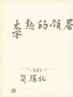 火热的领居中文字