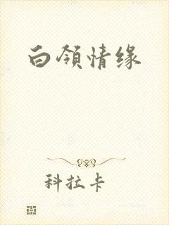 白领情缘