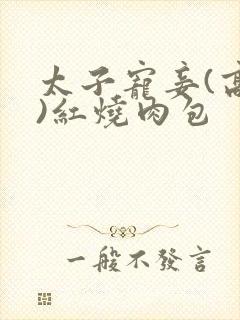 太子宠妾(高肉)红烧肉包