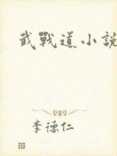 武战道小说