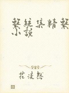 系统集精系统 小说