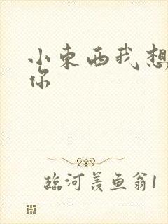 小东西我想弄坏你