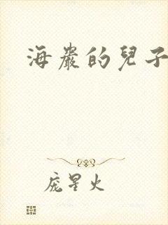 海岩的儿子