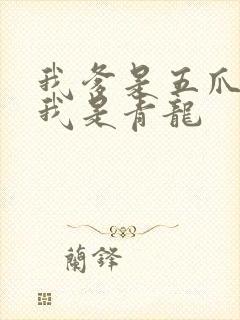我爹是五爪金龙我是青龙