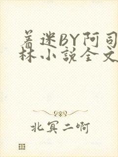 着迷BY阿司匹林小说全文免费阅读