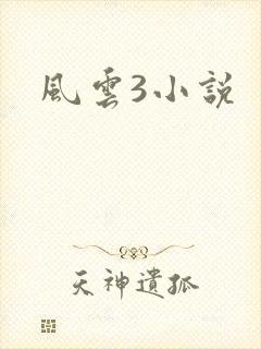 风云3小说