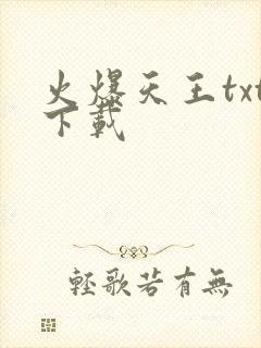 火爆天王txt下载