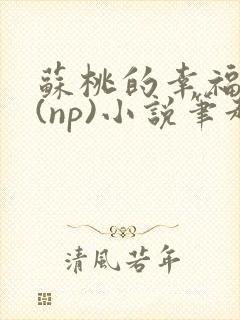 苏桃的幸福生活(np)小说笔趣阁沐沐