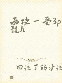 两攻一受3p双龙h