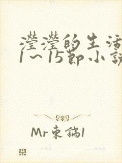 滢滢的生活日记1～15节小说