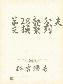 第28部分夫妇交换系列