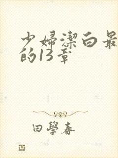 少妇洁白最刺激的13章