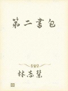 第二书包